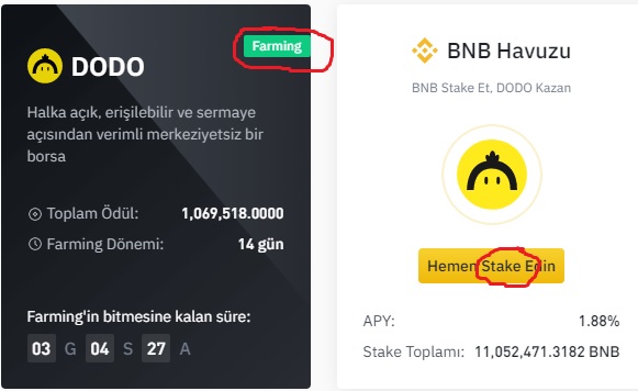 Binance Launchpad ve Binance Earn İşlemleri